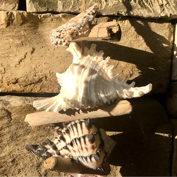 New! Turquoise Valentine Wood Heart Seashell Strand - Picture 5 of 7